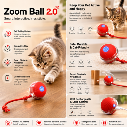 Zoom Ball 2.0