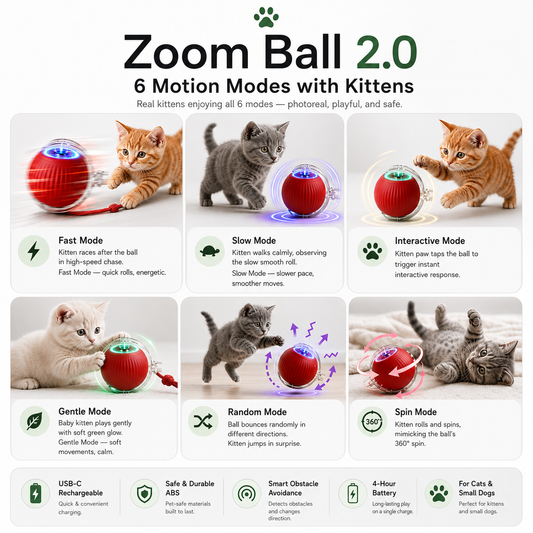Zoom Ball 2.0
