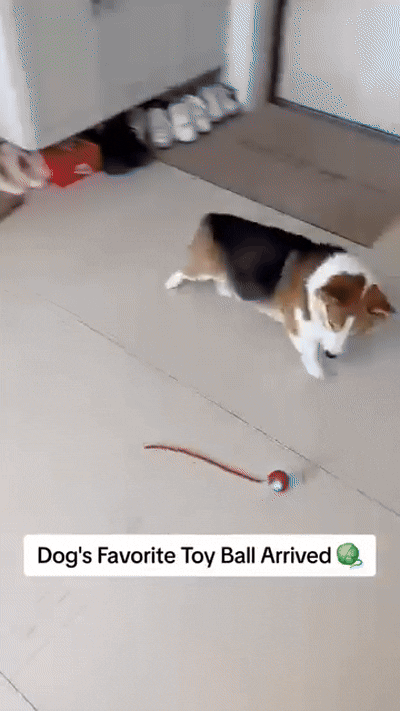 SMART AUTOMATIC
